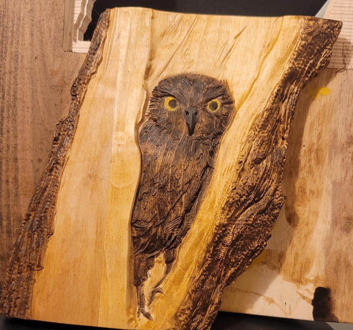 Hoot There!: A Wooden Owl